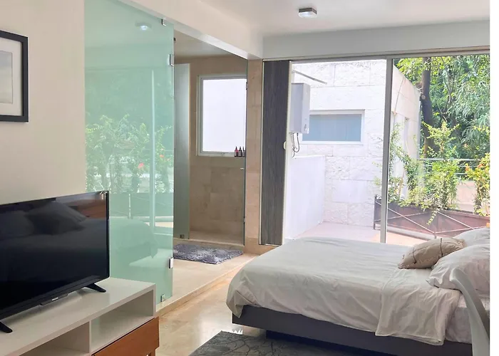 Condesa Amsterdam G Elegant 1br, 1ba Nestled On Amsterdam Avenue * México DF